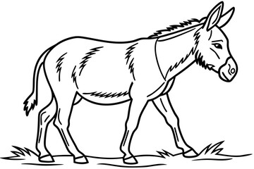 coloring page line art the mule black vector
