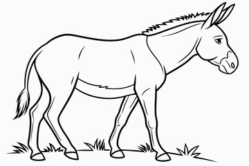 coloring page line art the mule black vector