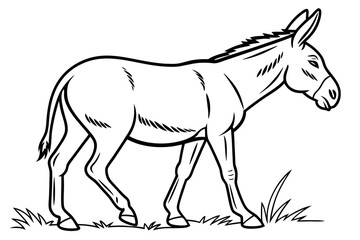 coloring page line art the mule black vector