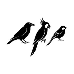 Fototapeta premium bird on a branch