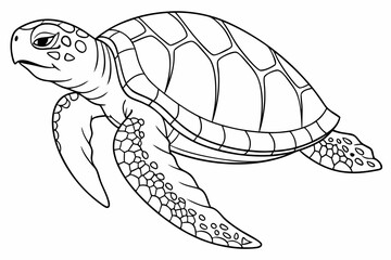 coloring page line art the painted turtle black vector