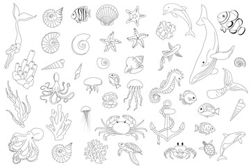 Big set of various marine creatures seashells, fish, whale, crab,, seaweed, turtle, octopus, seahorse, jellyfish, mermaid, dolphin, seastar in outline style for icons, stickers, apps, webs