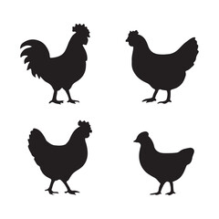 A set of chicken silhouette, black vector icon style