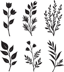 Elegant black floral branches for artistic design projects