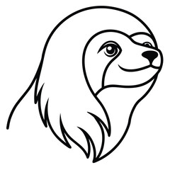 vector illustration of koala