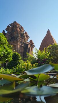 Po Nagar, Cham Temple Tower, Nha Trang in Vietnam. Ancient temple, historical and architectural landmark of Nha Trang. Lotus leaves in foreground, bush in bloom