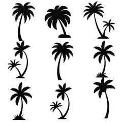 Various palm trees in silhouette black white silhouette, vector, isolated on white background, cutout, png, clipping path, transparent,