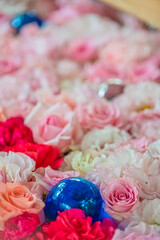 北海道　帯広市　帯廣神社の花手水