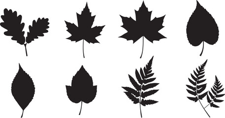 Eight Black Silhouettes of Various Leaves and Ferns on White Background Keywords: leaf, silhouette, nature, plant, foliage, botanical, organic, design element, graphic, icon, symbol, vector