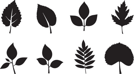 Variety of Black Leaf Silhouettes with Different Textures and Shapes on White Background Keywords: leaves, plant leaves, silhouette, black, white background, nature, botanical, foliage, leaf