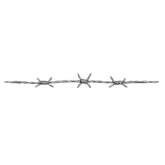 Barbed wire isolated object on white background without background  