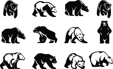 Naklejka premium Robust bear vector illustrations in various poses: standing, walking, and resting, ideal for nature, wildlife