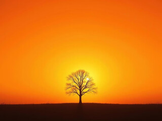 Obraz premium Arbre solitaire illuminé par un coucher de soleil éclatant dans un ciel orange vif et apaisant