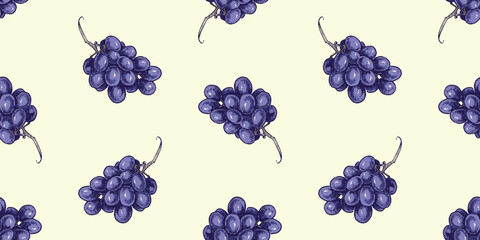 Ripe purple juicy grape berries bunches, hand drawn, seamless pattern, vector background, wallpaper, paper, fabric