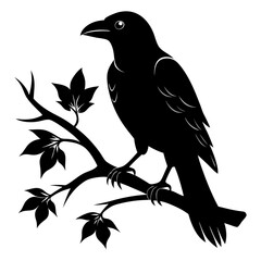 Black Silhouette Crow on Tree Limb