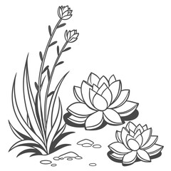 Illustration of two lotus flowers with detailed petals and a plant with long leaves and small buds around them
