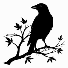 Black Silhouette Crow on Tree Limb