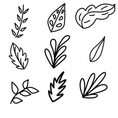 vector set of black and white flowers