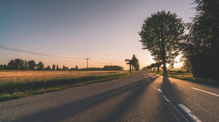 Golden hour country lane with elongated shadows, ideal for agricultural promotions, nostalgic visuals, and peaceful backdrops.