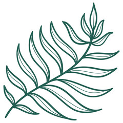 Minimalist line art illustration of a fern leaf © Cusmin35
