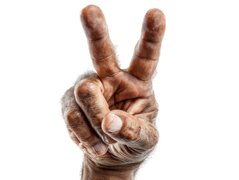 Symbolic peace gesture hand close-up studio. Isolated on transparent background, png.