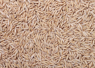 Detailed macro shot of natural oat seeds, demonstrating healthy eating, farming and holistic nutrition concept