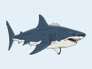 great white shark vector