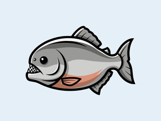 Piranha fish isolated on a white background