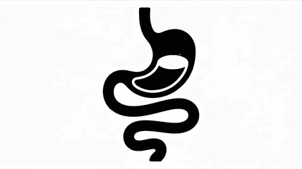 Fototapeta premium Minimalist black and white human digestive system anatomy illustration