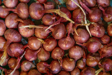 Fresh red shallots piled together, showcasing their vibrant color and unique shape, highlighting the natural textures and earthy appeal of this popular culinary ingredient