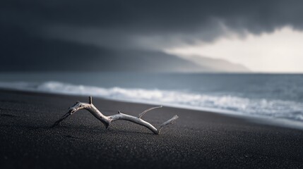 A solitary piece of driftwood rests on a black sand beach with misty mountains and a moody sky in the background.