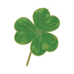 four leaf clover