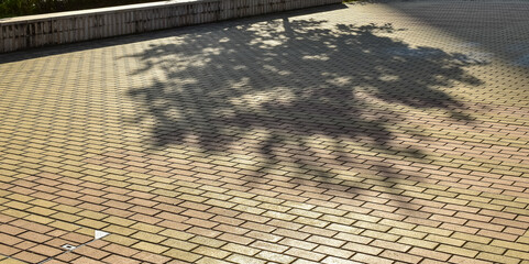 Close-up of the tree shadow on the ground. Sunlight of pedestrian walkway of the city. Tree shadow. Street pattern. For background use. 