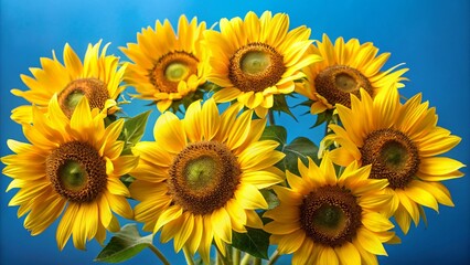 Fototapeta premium Bright yellow sunflowers stand tall against a clear blue sky, a vibrant symbol of summer's beauty and nature's cheerful blossom