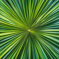 Obraz premium A visually striking pattern of radiating palm fronds displays vibrant green hues in a naturally symmetrical design.