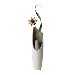 Modern minimalist vase with a single flower