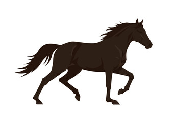 Galloping Shadow Dark horse mane flying midstride