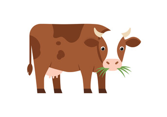 Brown cow munching on grass a cute cartoon illustration on white