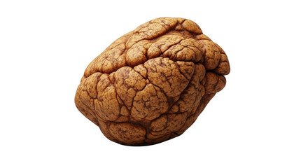 Obraz premium An image of textured brown object isolated on white.. The scene includes shape, earthy, complex, macro, medical, white, thought, intelligence,