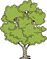 vector illustration of a tree