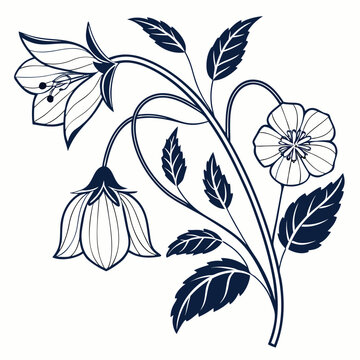 vector illustration of  abutilon plant