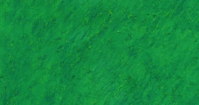 Texture crayon paint crazy cadmium dark green oil pastel pencil. Handmade pulsing background. Stop motion paint structure. Overlay blank card. Seamless made loop natural brush hand drawn structure. 