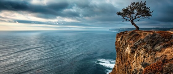 A tree on cliff ocean view and cloud sky dramatic overlooking a vast ocean or sprawling valley, with a sense of solitude.