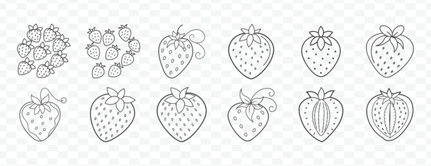 Hand Drawn Strawberry Line Art Collection for Natural Fruit Illustration and Creative Design Projects Use