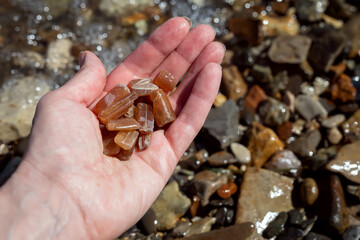 Fossilized belemnites on the palm of a hand