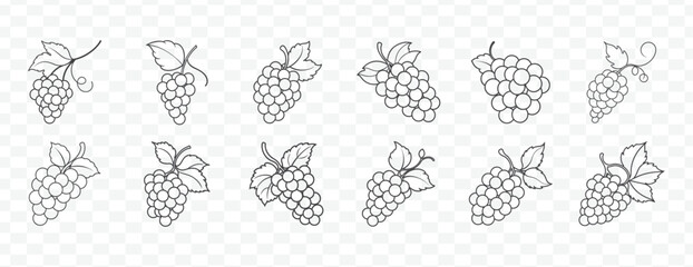 Intricate Line Drawing of Grapes Bunch with Leaves and Branches for Creative Natural Fruit Illustration Use