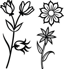 Sets of flower silhouettes rose lily tuli outline