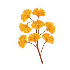 Flat vector illustration of an autumn ginkgo biloba branch with yellow leaves. Botanical clipart element, isolated on white background. Perfect for greeting cards, eco packaging, textile design