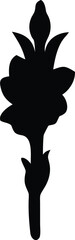gladiolus flower silhouette