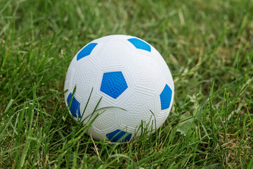 Fototapeta premium White and blue soccer ball on green grass.